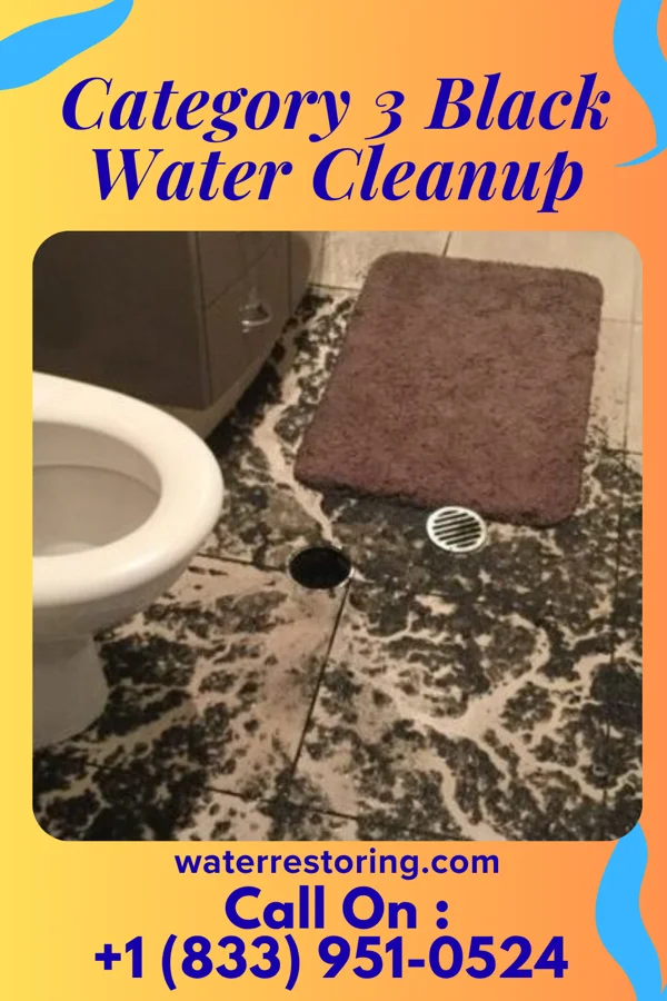 Category 3 Black Water Cleanup in First Mesa, AZ